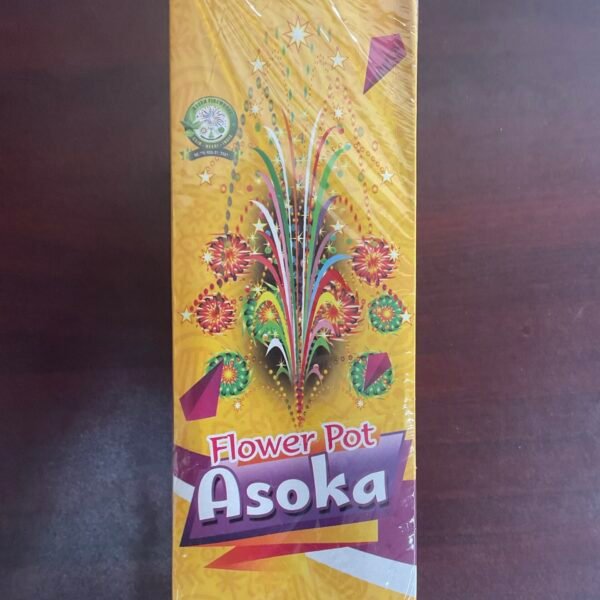 FLOWER POTS ASHOKA